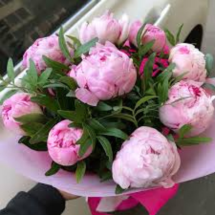 Пион древовидный в Форте-Шевченко