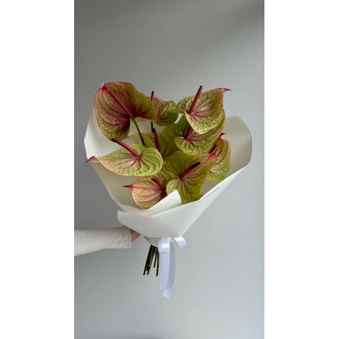 Антуриумы в Форте-Шевченко