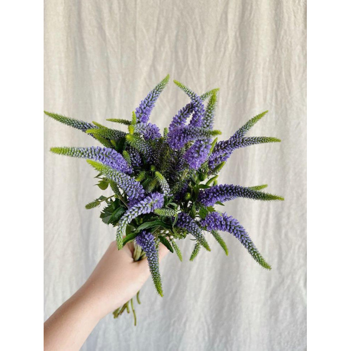 Вероника в Форте-Шевченко