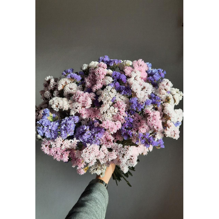 Статица (Лимониум) в Форте-Шевченко