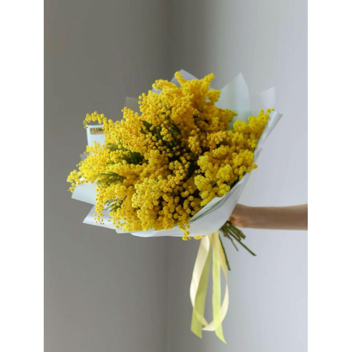 Мимоза в Форте-Шевченко