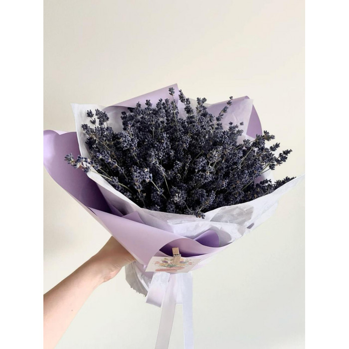 Лаванда в Форте-Шевченко