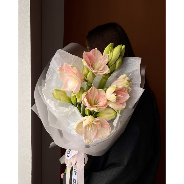 Амариллис в Форте-Шевченко