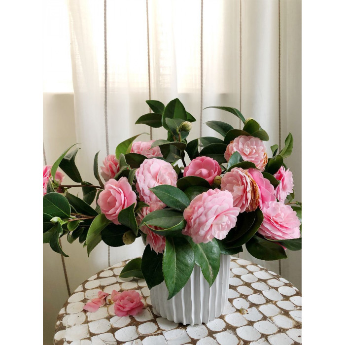 Камелия в Форте-Шевченко