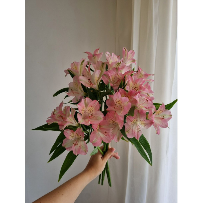 Альпиния в Форте-Шевченко