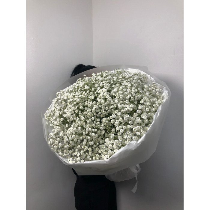 Гипсофила классическая в Форте-Шевченко