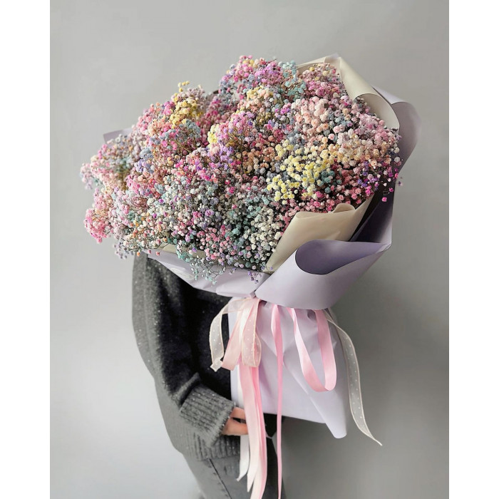 Гипсофила цветная в Форте-Шевченко