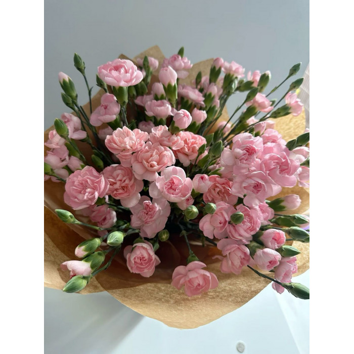 Кустовые гвоздики в Форте-Шевченко