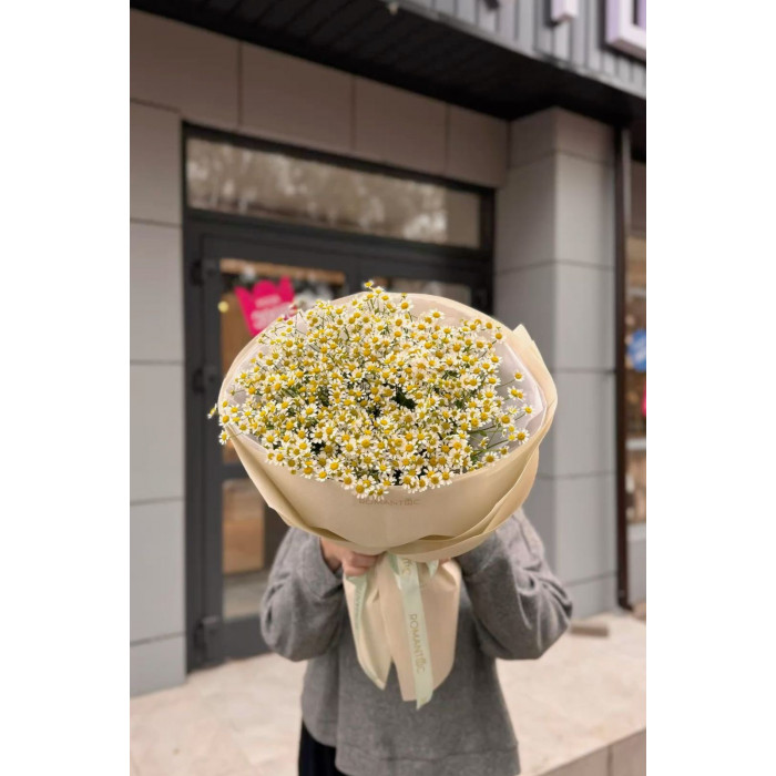 Танацетум в Форте-Шевченко