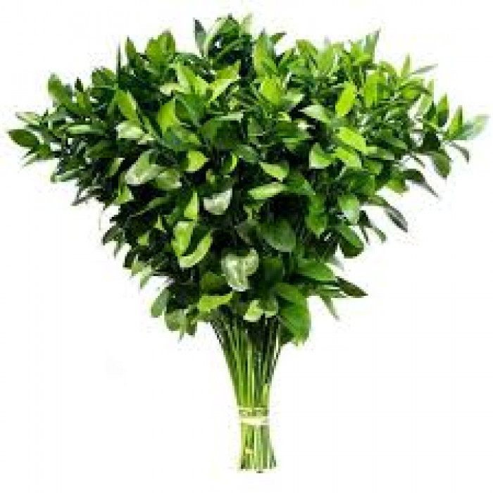 Рускус в Форте-Шевченко