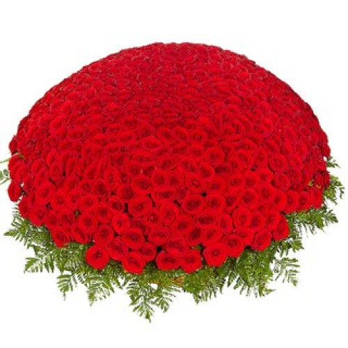 Купить на заказ 301  роза с доставкой в Форт-Шевченко