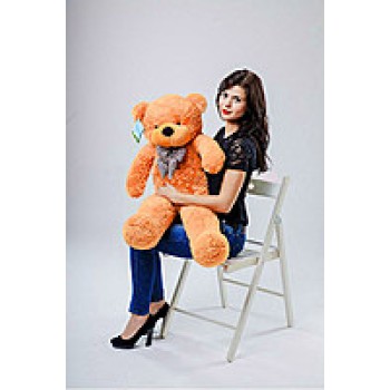 Teddy Bear 60 cm