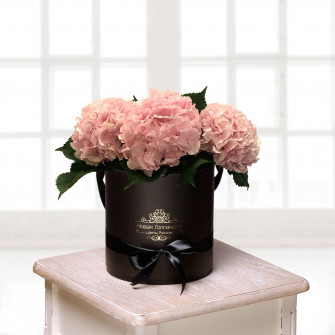 Гортензии в шляпной коробке