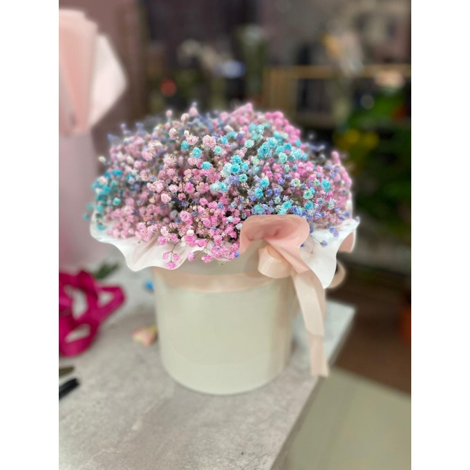 Радужная гипсофила в коробке Радужная гипсофила в коробке