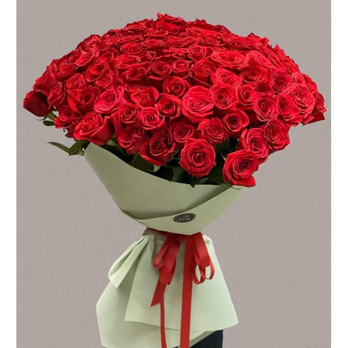 101 метровая роза 101 метровая роза