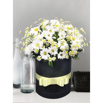 Изящные ромашки в стильной коробке Изящные ромашки в стильной коробке