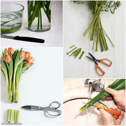 Как реанимировать тюльпаны в вазе с водой